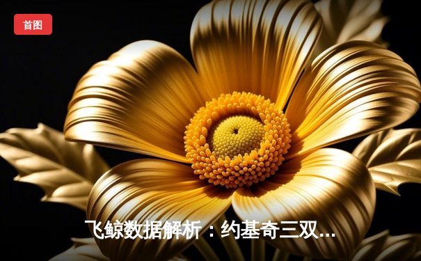 飞鲸数据解析：约基奇三双掘金灭热火，总决赛G1数据分析揭秘胜负关键